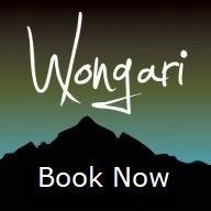 book now