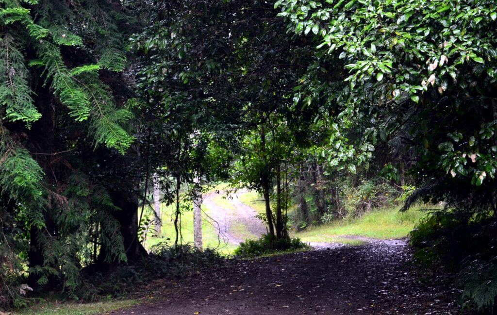 Serenity Where This Driveway Ends