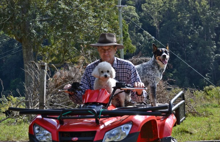 Dog Trio2 768x496