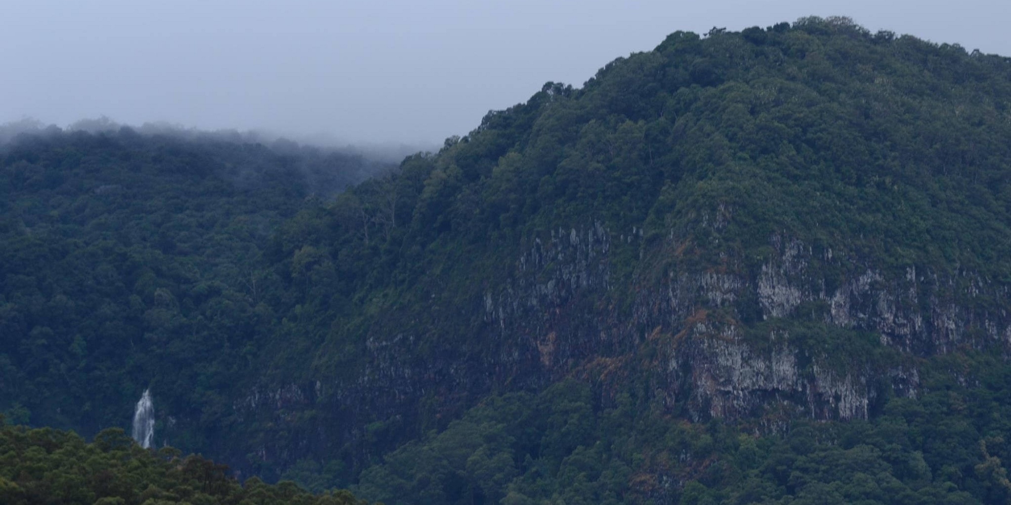 Wongari Eco Retreat 122 