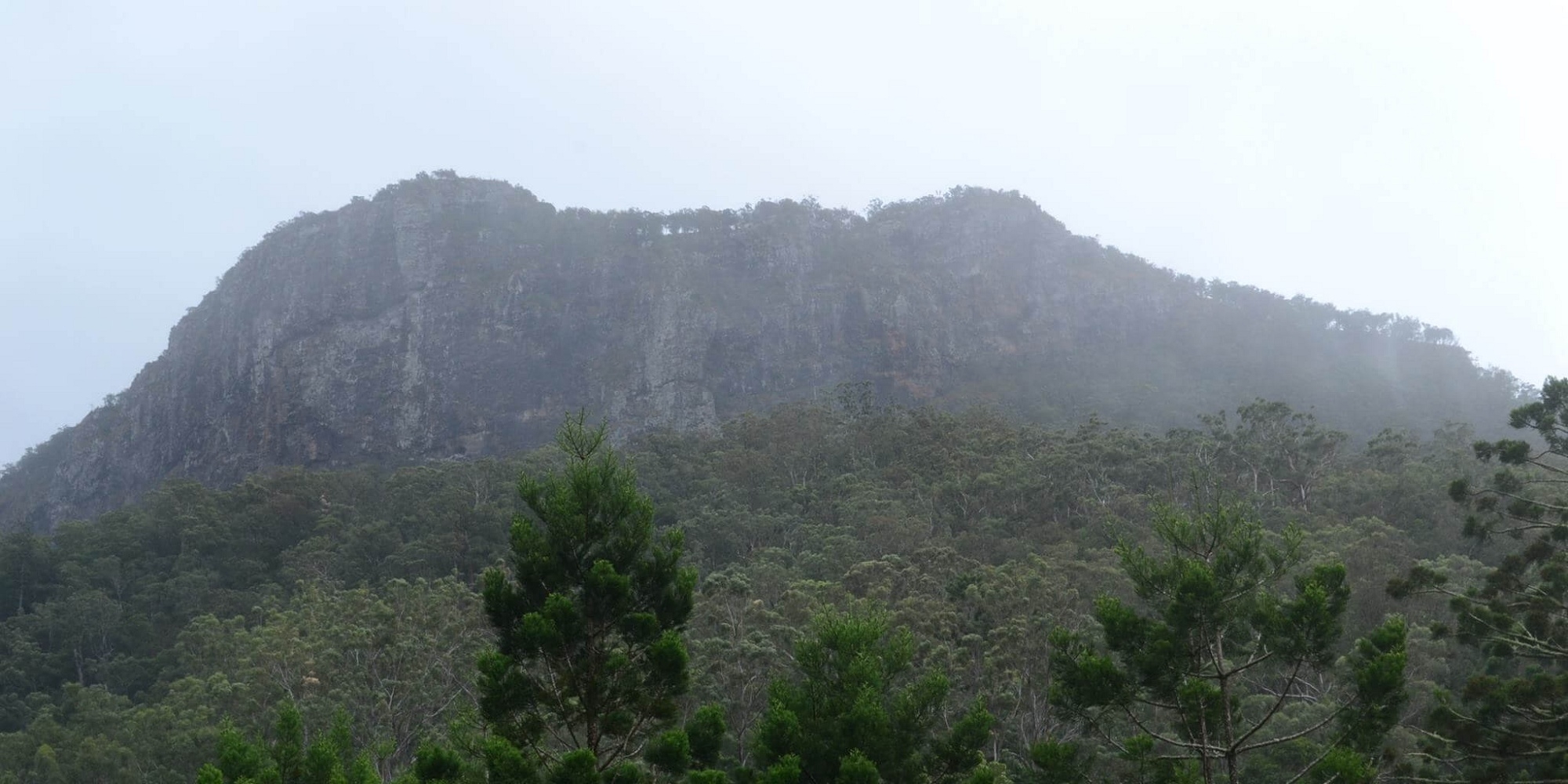 Wongari Eco Retreat 133 